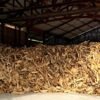 5 steres 30-33 cm (Vrac) – Chêne de charme mélange hêtre et frêne